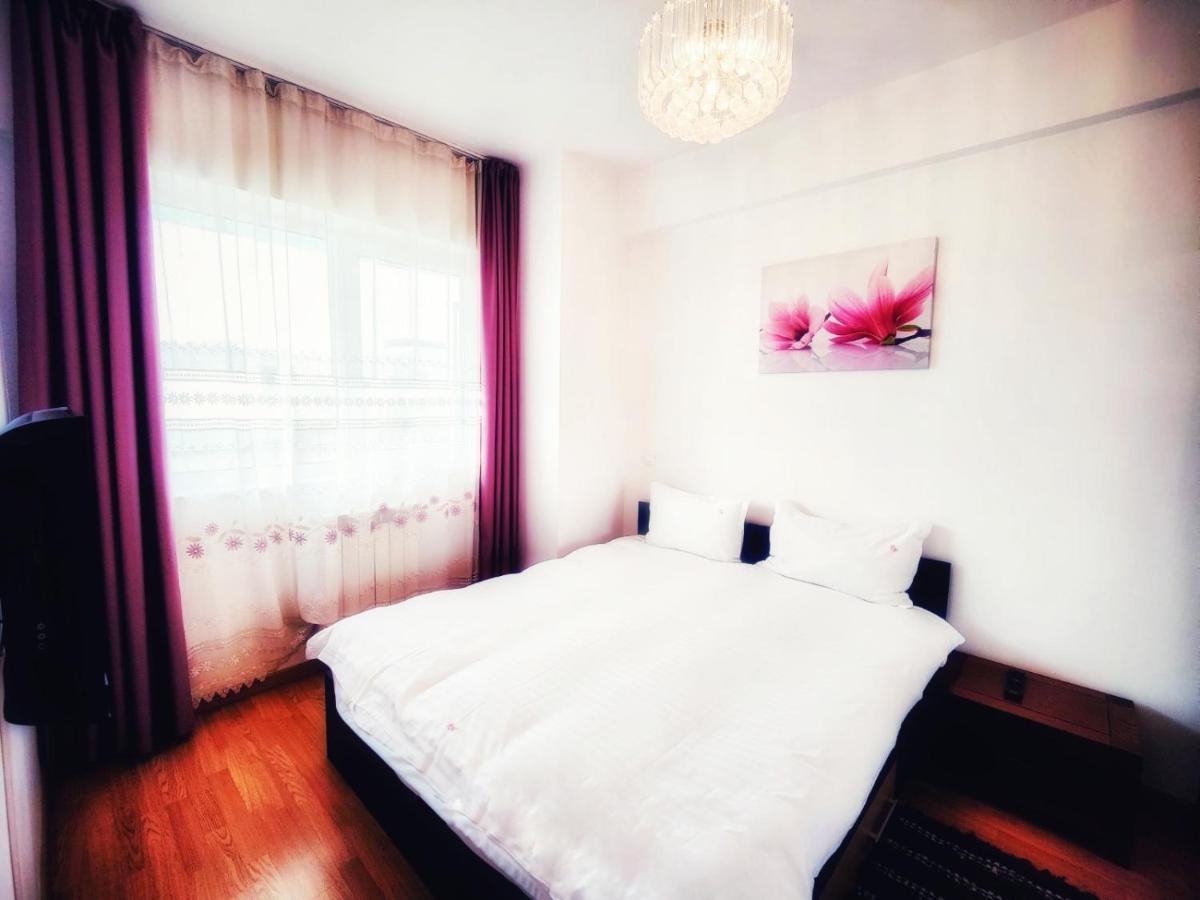 Business Apartments 克卢日-纳波卡 外观 照片